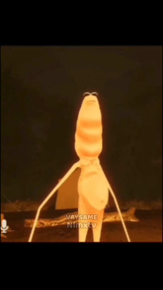 رابرت و مارکوس فارسی قسمت 1 - من این سنگ رو دوست ندارم